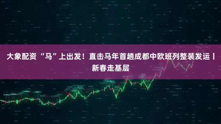 大象配资 “马”上出发！直击马年首趟成都中欧班列整装发运丨新春走基层